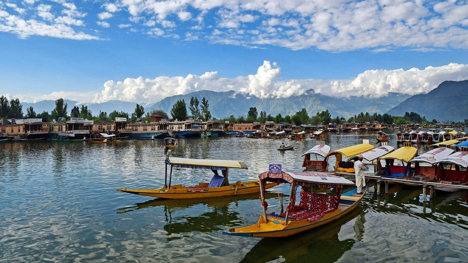 KASHMIR